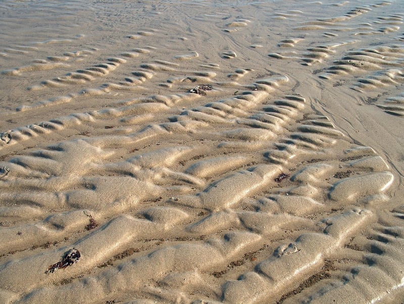 Labyrinth in nature